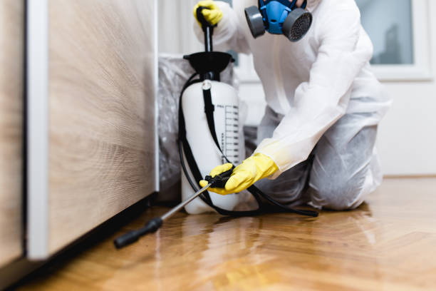 Best Best Pest Control Companies  in Neuse Forest, NC