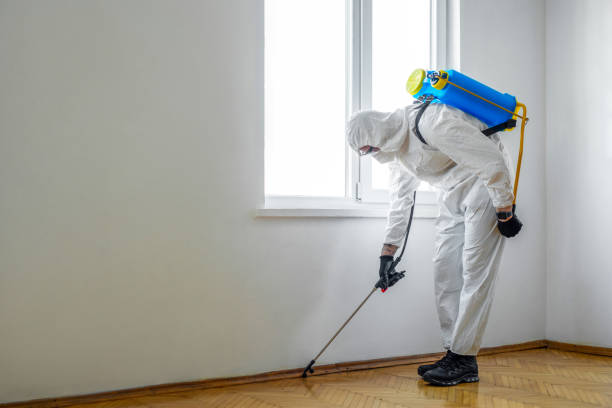 Best Termite Control Services  in Neuse Forest, NC