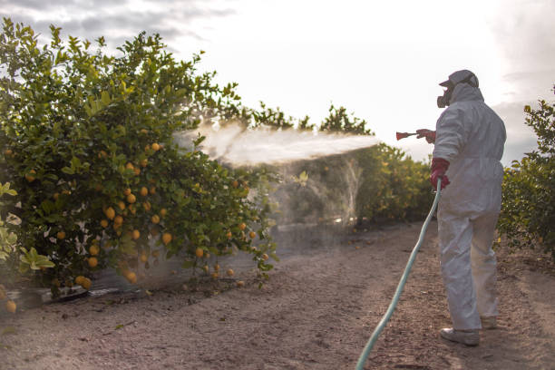 Best Exterminator Services  in Neuse Forest, NC
