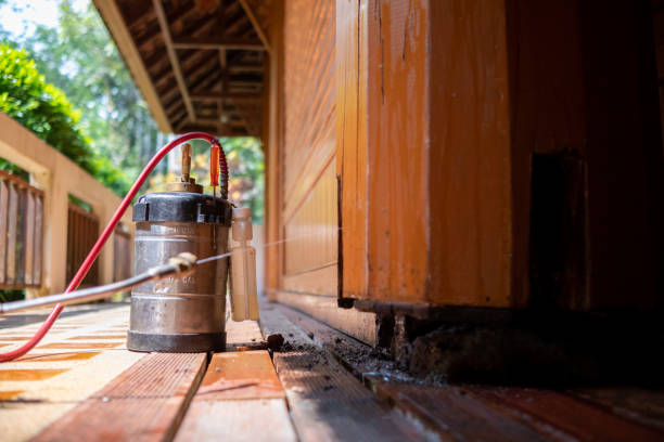 Best Wasp Removal Services  in Neuse Forest, NC