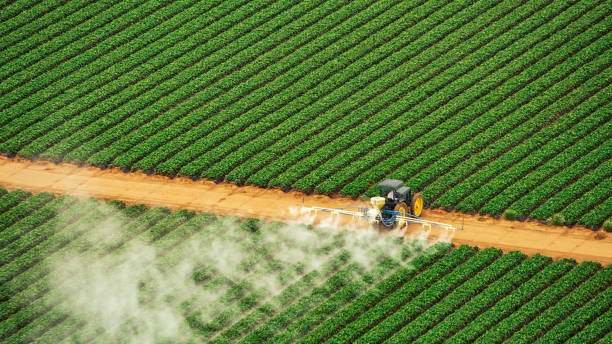 Best Ant Control Services  in Neuse Forest, NC