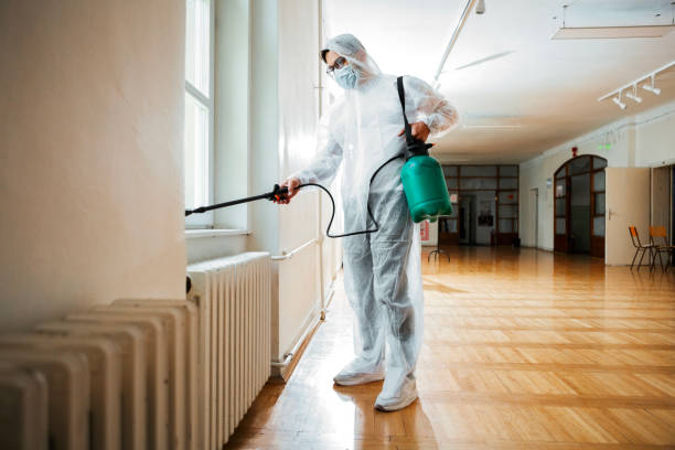 Best Bed Bug Extermination  in Neuse Forest, NC