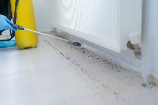Best Pest Prevention Services  in Neuse Forest, NC