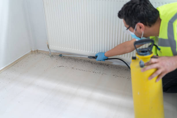 Best Commercial Pest Control Services  in Neuse Forest, NC