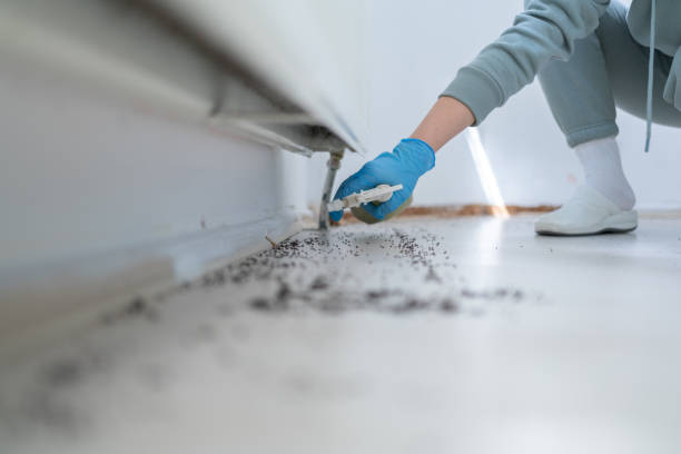Best Cockroach Control Services  in Neuse Forest, NC