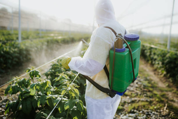 Best Wildlife Control Services  in Neuse Forest, NC